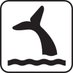 ChasingFlukes (@chasing_flukes) Twitter profile photo ChasingFlukes (@chasing_flukes) Twitter profile photo