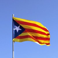 jordi maeso (@jmaesod) 's Twitter Profile