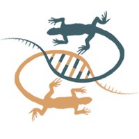Polymorphic Games (@polymorphicdev) 's Twitter Profile