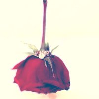 عائشة السليهبي (@aisha_mater897) 's Twitter Profile