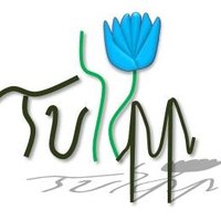 Tulipp H2020(@TULIPP_H2020) 's Twitter Profile Photo