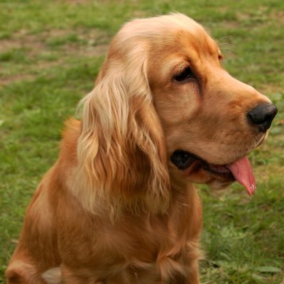 mluisamenendez's profile picture. 