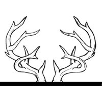 Antler (@antlerpdx) 's Twitter Profile