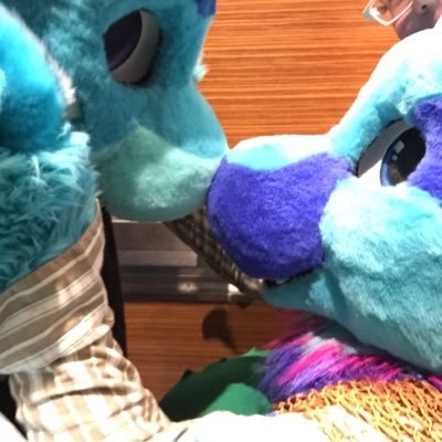 Shugnaros's profile picture. https://t.co/4Z4O85NY7a talbuk, sea monster, dogshark, demon, Weird, Queer, and here!