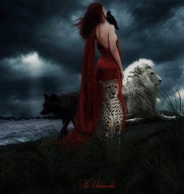 we are anonymous
we do not forget
we do not forgive.hate pedos ,against all cruelty to animals, hate the gov.hate isis,totally against trophy hunting.