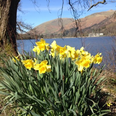 PyePamela's profile picture. 