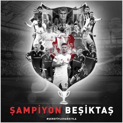 akoyunsagan's profile picture. 