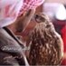 قرناس (@naeyf511) Twitter profile photo قرناس (@naeyf511) Twitter profile photo