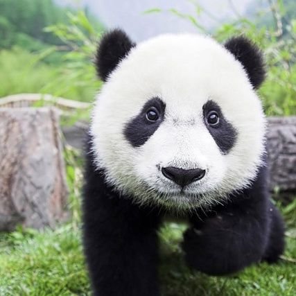 BobbyMB's profile picture. 