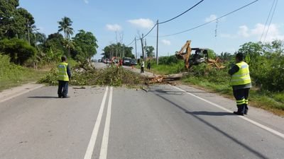 RoadcareB's profile picture. 