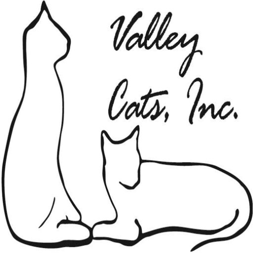 ValleyCatsInc Profile Picture