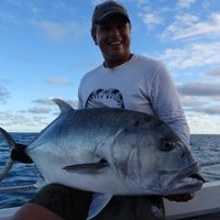 nicholas hill (@n_hill917) 's Twitter Profile