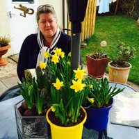 DrSueCruickshank(@Sue_Cruickshank) 's Twitter Profile Photo