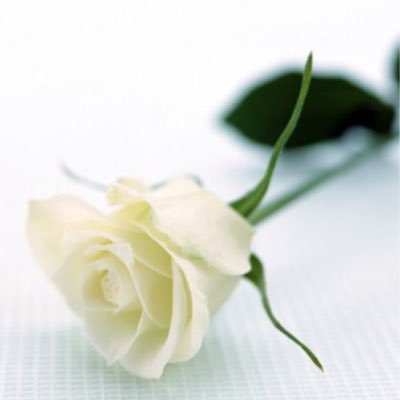 LinksOmaha's profile picture. Omaha (NE) Chapter of The Links Incorporated.