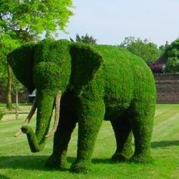 Artist Steve Manning of Topiary Art Designs  makes custom and bespoke feature topiaries, willow, wicker and replica or artificial plant sculptures.