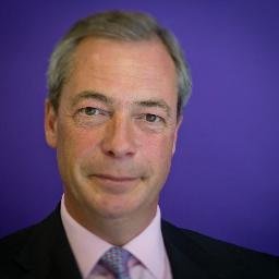 leader of the ukip lads