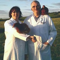 Guiry'sWest Limerick (@guiryseggs) 's Twitter Profile