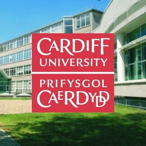 CardiffLaw Profile Picture