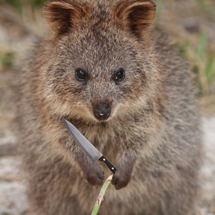 NotTurnbull's profile picture. delulu about the solulu