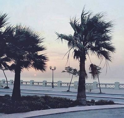 dox0022's profile picture. ..