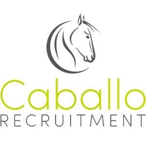 Caballo Recruitment is a specialist recruitment consultancy with over 10 years proven experience recruiting for Accountancy & Finance and Office.