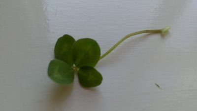 8cfb9fb298b24ed's profile picture. ..