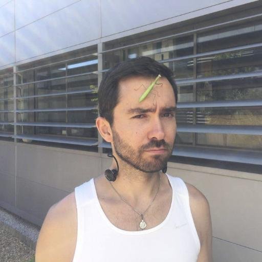 LordFruitFly's profile picture. French evolutionary biologist working on insect ecology, pest management and insect mass-rearing