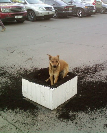 rmcgrew's profile picture. Working to find my next spot