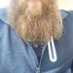 Pat's Glorious Beard (@pattyleesbeard) Twitter profile photo
