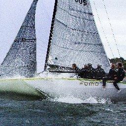 team_fomo's profile picture. 