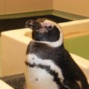 Robert Gaines - @Bob_Gaines7 - Twitter