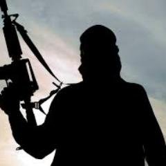 TerrorSquad0x0's profile picture. rooting shit.