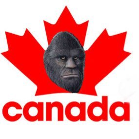 The Official Twitter Page For Canadian Bigfoot News, Information, Research and Findings. #bigfoot #sasquatch #bigfootcanada