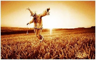 همدلی از همزبانی بهتر است.
.
.
.
.
.
.
ریتوییت به معنای تایید نیست