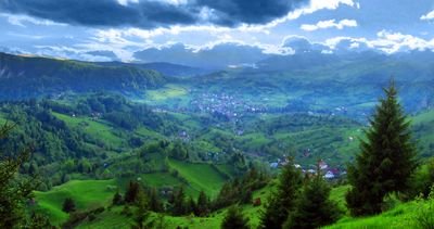 LenutaGhita's profile picture. 