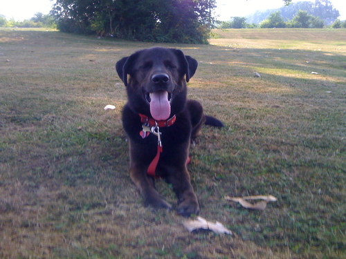 ohiomac's profile picture. 