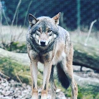 Jessie123calber's profile picture. follow me on instagram