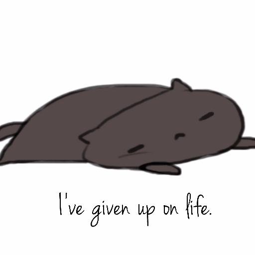 GummiestOfDrops's profile picture. I like trains. And Mac & Cheese.