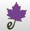 Cdn. non-profit promoting online tools for government transparency