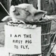 w_extrasauce's profile picture. everything is better with extra sauce