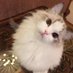 67 (@starvicky67) Twitter profile photo 67 (@starvicky67) Twitter profile photo