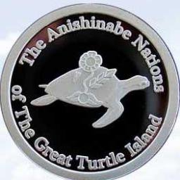 TurtleIsland_UN's profile picture. This is Official Twitter account of the Permanent Mission of Anishinabe Government #TurtleIsland to @UNGeneva and other International Organisations in #Geneva.