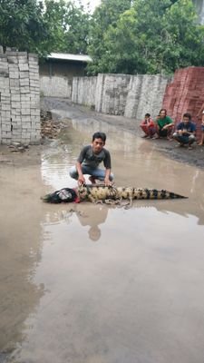 olahraga