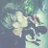 shochang_scng