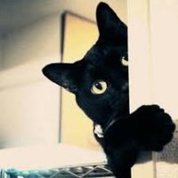 野村昌二(Shouji Nomura) (@nomura1214) 's Twitter Profile