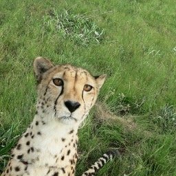 emthornett's profile picture. Not really into Twitter.