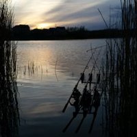 Paul (@sheff_carper) 's Twitter Profile