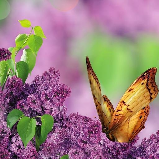 hidrojendioksit's profile picture. 