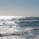 robin blank - @robinbflor - Twitter