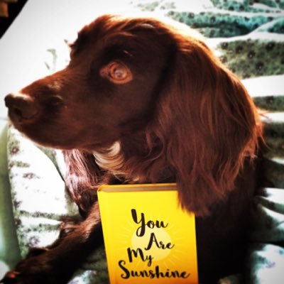 l4ur4b's profile picture. 